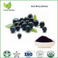 pure acai berry extract,brazilian acai extract,acai berry freeze dried powder